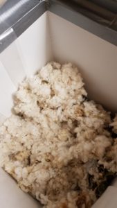 Čmeláci PLUS - Vstupní kapsa je zakryta výstelkou - vzniká dutina