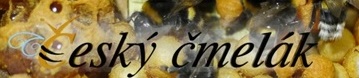 Český Čmelák