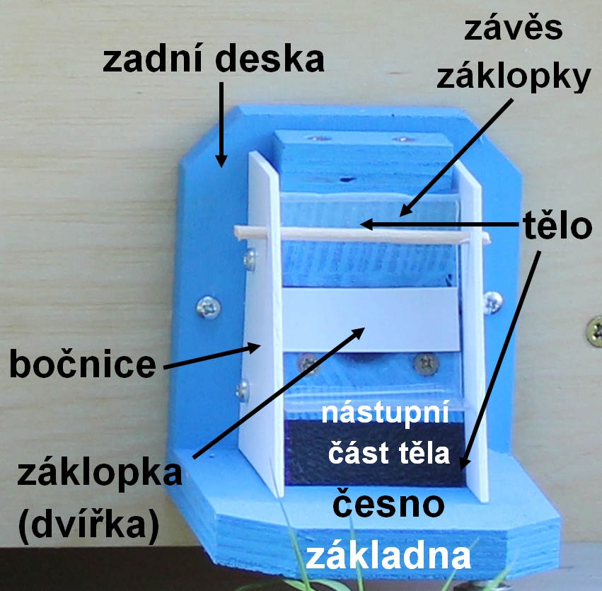 Čmeláci PLUS - Popis čmeláčí klapky co je to česno záklopka bočnice tělo