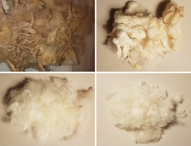 Čmeláci PLUS - Výstelka ze surového ovčího rouna - postup úpravy od surového rouna, po vyprání, cupování a stříhání