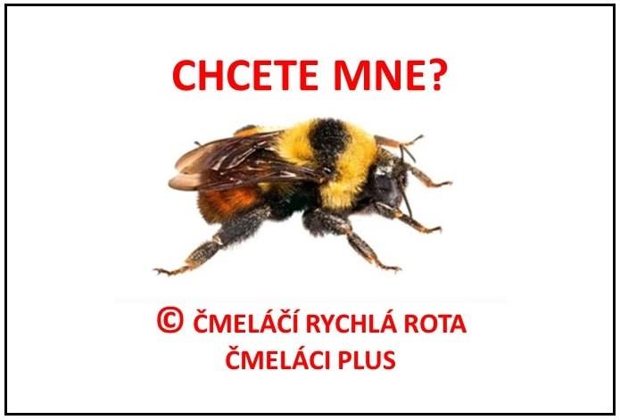 Čmeláci PLUS - Čmeláčí Rychlá Rota - původní logo