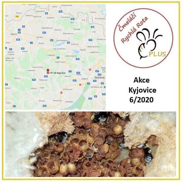 Čmeláčí Rychlá Rota - Kyjovice