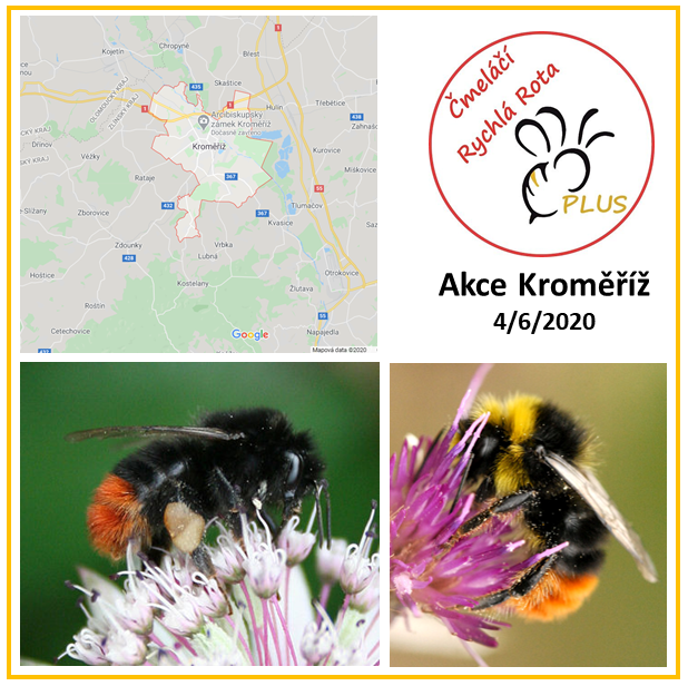 Čmeláčí Rychlá Rota - Akce Kroměříž 2020 06 04