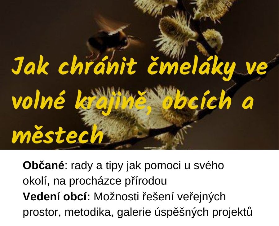 Ochrana čmeláků v přírodě, okolí sídel i městecha vesnicích. Odborný servis, metodika.