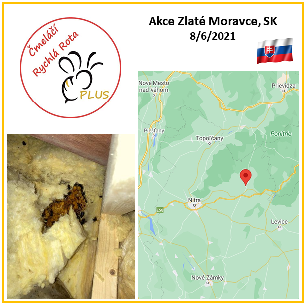 Čmelácí Rychla Rota - Akce Zlaté Moravce - 2021 06 08