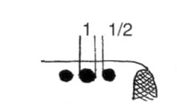 Čmeláci PLUS - Schéma rozložení jednoduchých oček na hlave čmeláka zemního (Bombus terrestris) - Zdroj Fauna Helvetika Apidae 1