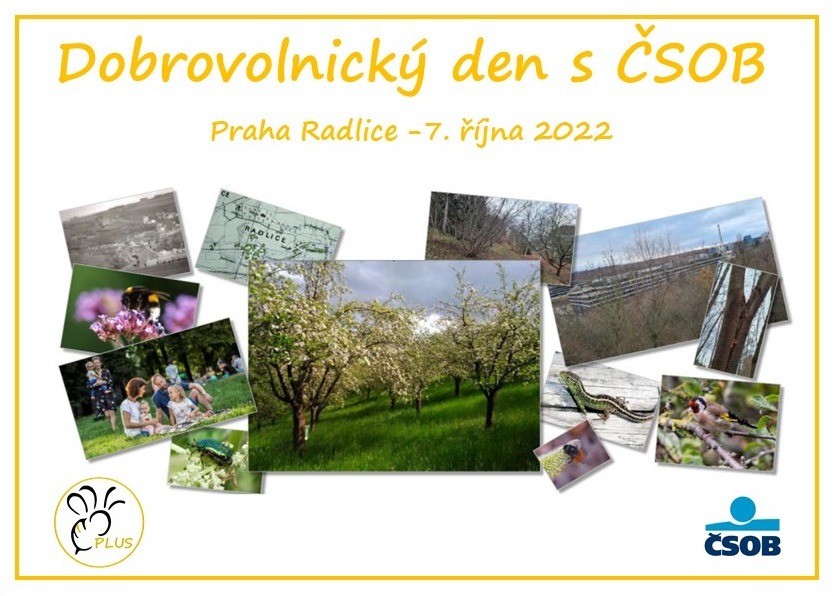 Čmeláci PLUS - Dobrovolnický den ČSOB 2022 10 07