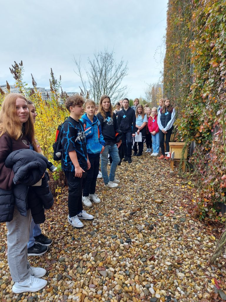 Čmeláci PLUS - Školní projekt - ZŠ U Santošky - Foto Martina Říhová Vlaďka Hercogová (3) 24 10 2022