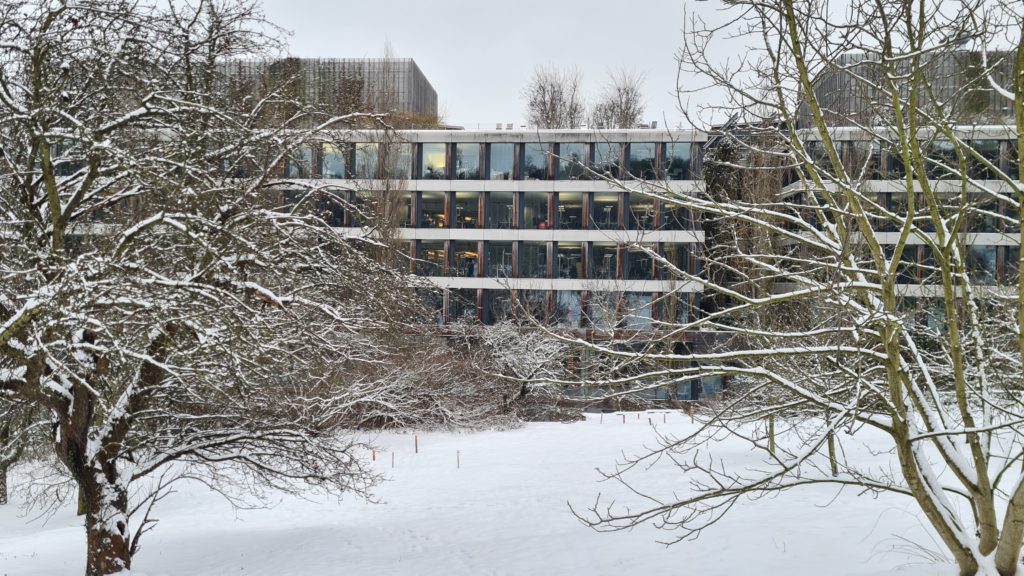 Čmeláci PLUS - Zahrady ČSOB pod sněhem - Foto Ondřej Hercog - 16 12 2022 (4)