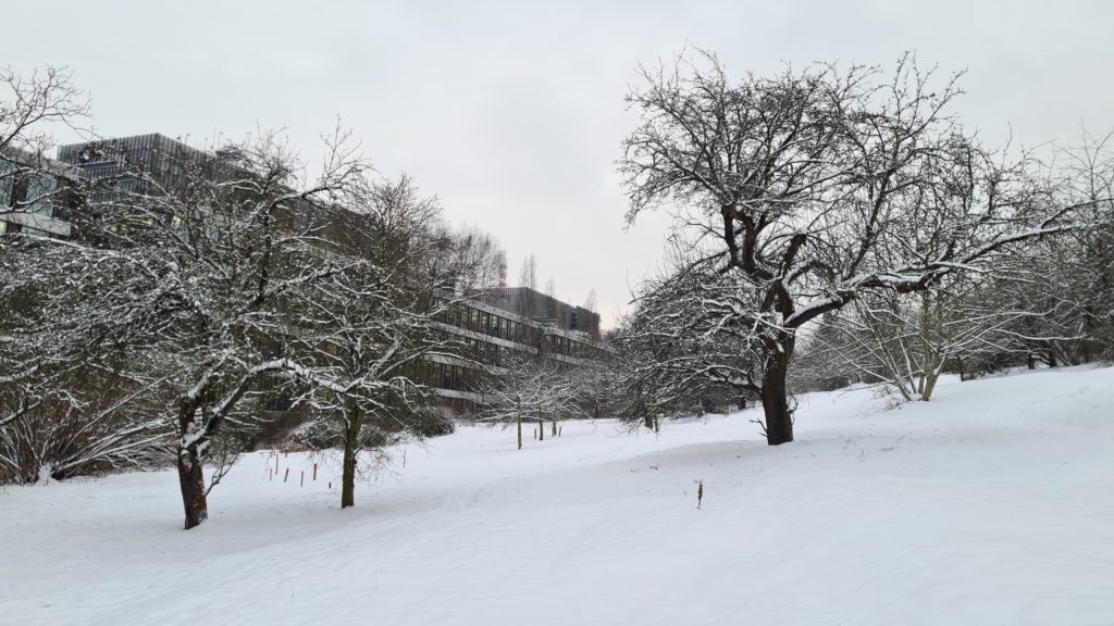 Čmeláci PLUS - Zahrady ČSOB pod sněhem - Foto Ondřej Hercog - 16 12 2022 (8)