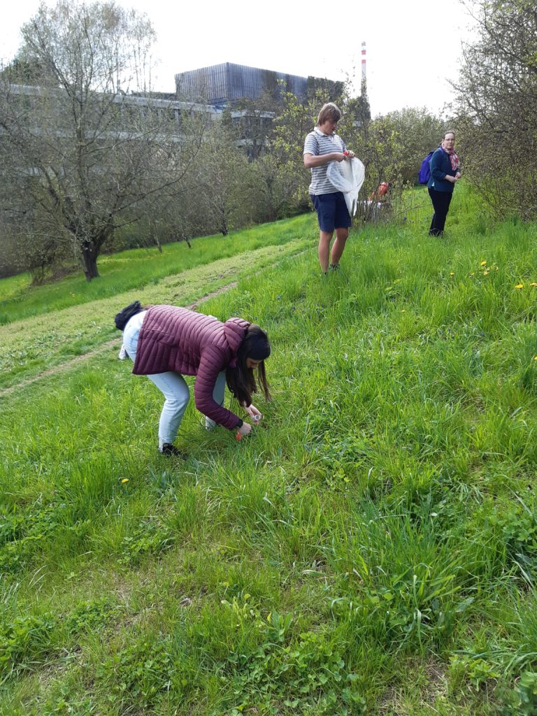 Čmeláci PLUS - Procházka do okolí Radlic - Foto Paulína Jirsová 21 04 2023 (2)