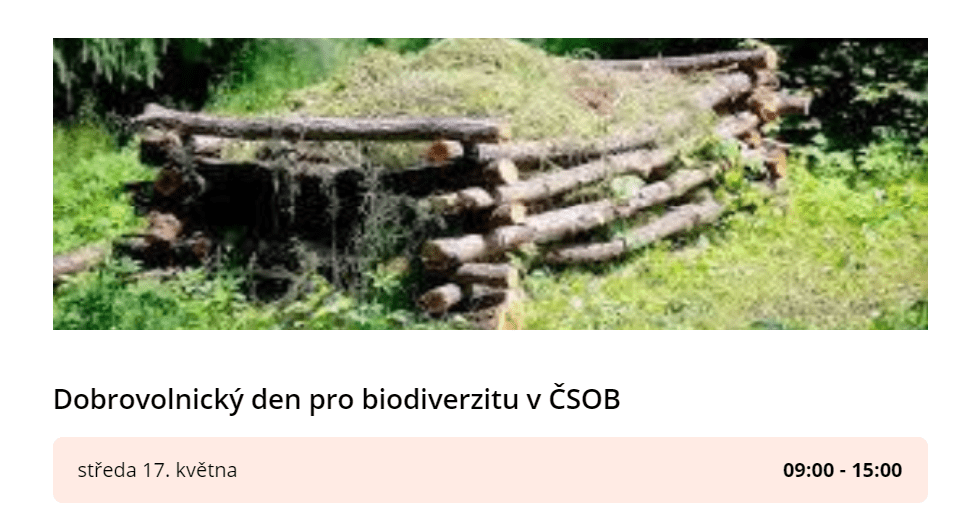 Čmeláci PLUS - Dobrovolnický den pro biodiverzitu v ČSOB - 17 05 2023