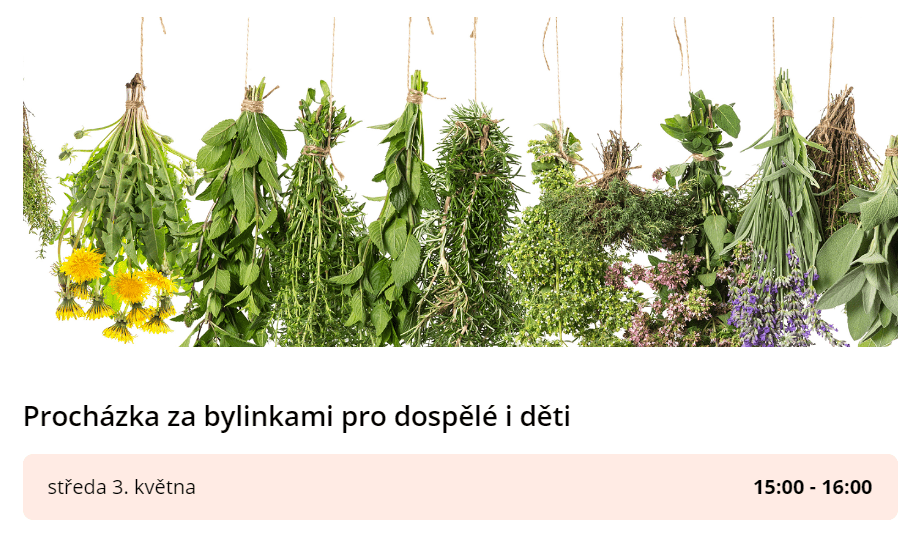 Čmeláci PLUS - Procházka za bylinkami - 03 05 2023