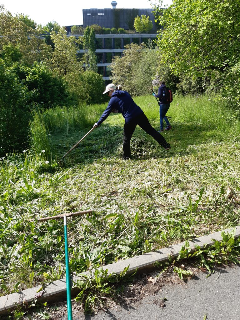 Čmeláci PLUS - Dobrovolnický den ČSOB Praha Radlice - Foto Paulína Jirsová - 2023 05 17 (10)