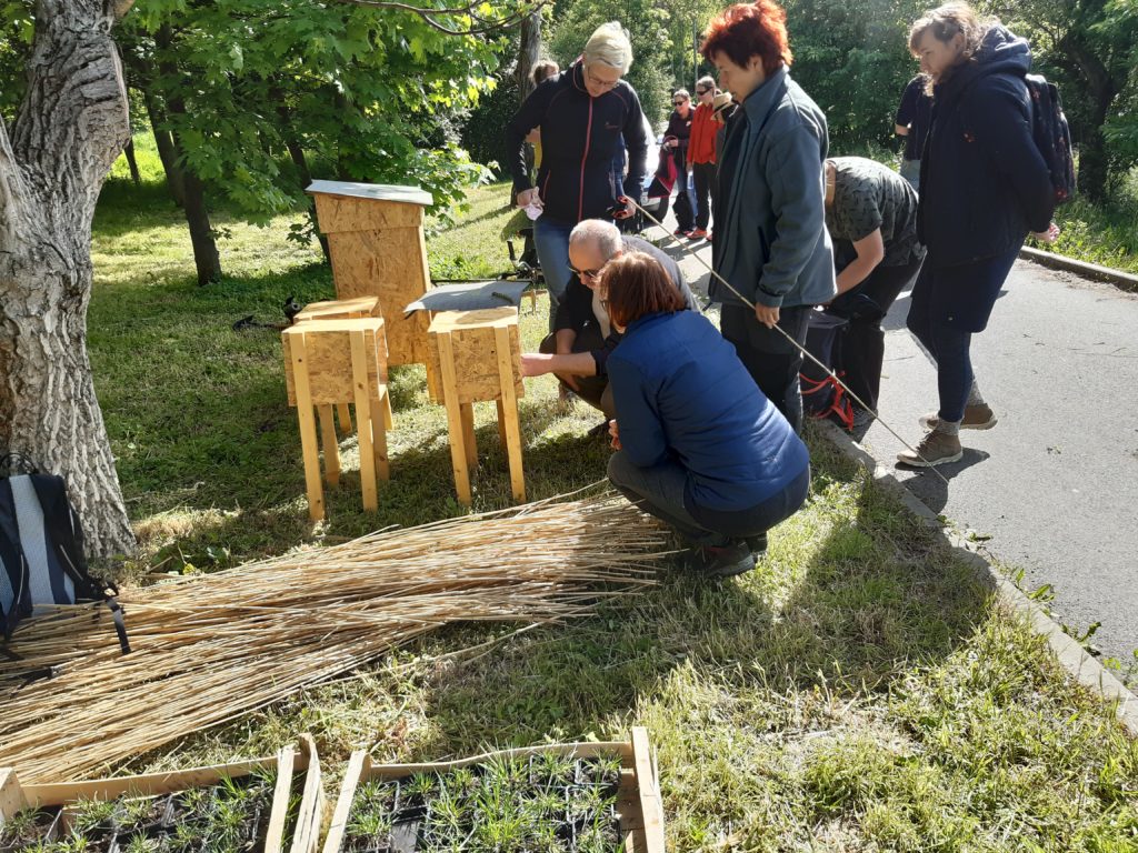 Čmeláci PLUS - Dobrovolnický den ČSOB Praha Radlice - Foto Paulína Jirsová - 2023 05 17 (7)