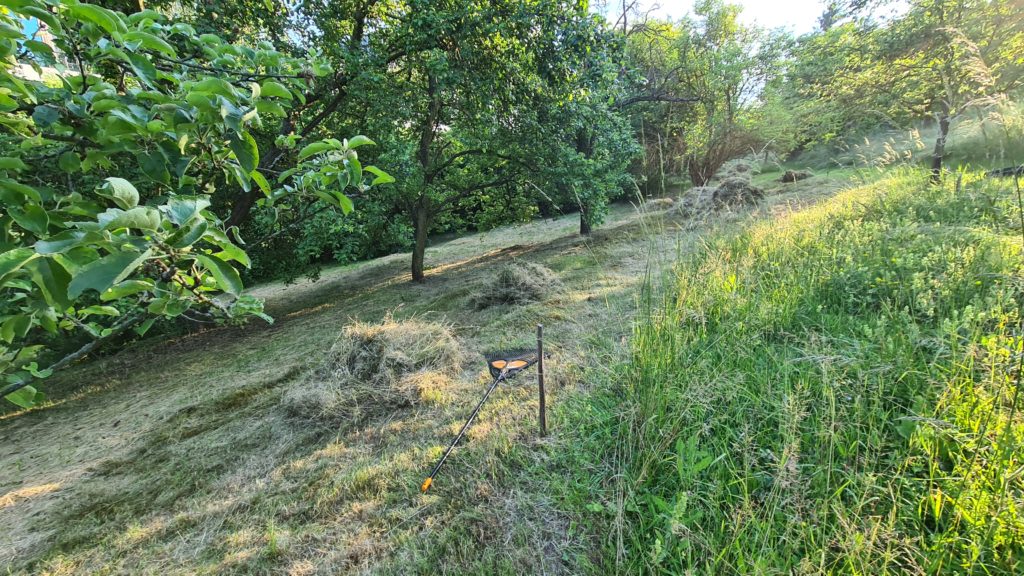 Čmeláci PLUS - Zahrada banky - úklid hnijící trávy - Foto Ondřej Hercog 11 06 2023 (3)