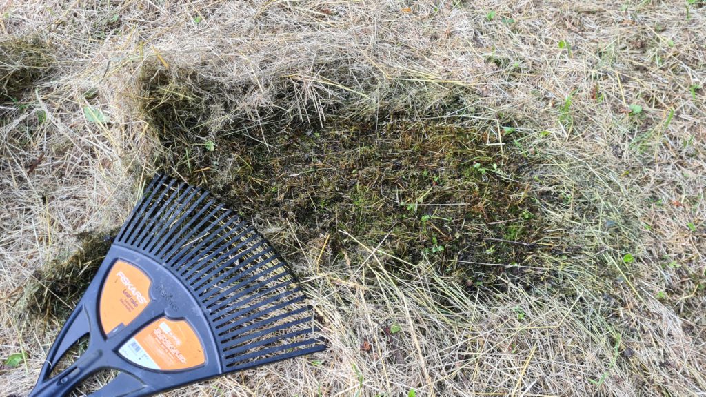 Čmeláci PLUS - Zahrada banky - úklid hnijící trávy - Foto Ondřej Hercog 11 06 2023 (5)