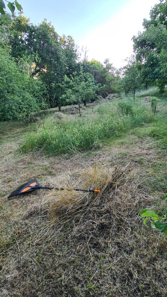 Čmeláci PLUS - Zahrada banky - úklid hnijící trávy - Foto Ondřej Hercog 11 06 2023 (7)