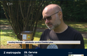 Čmeláci PLUS - Čmeláci v DS Sulická 1 - ČT Z metropole