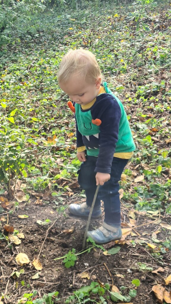 Bumblebees PLUS - CSOB Volunteer Day - Autumn - Prague Radlice - Photo Ondřej Hercog - 17 10 2024 (30)