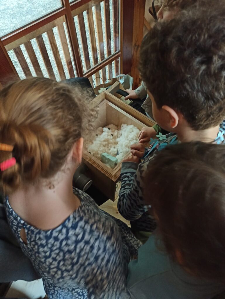 Čmeláci PLUS - Čmeláčí přednáška a přílet na zahradu - Foto Julie Včeláková - 2025 04 24 (5)