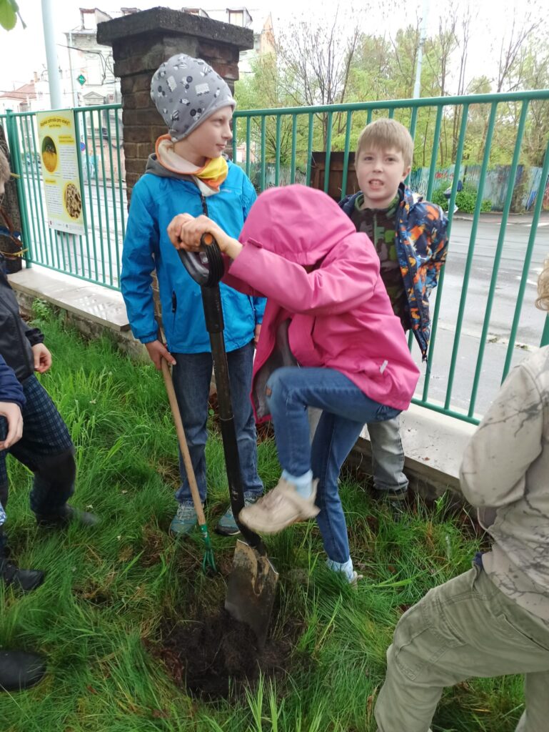 Čmeláci PLUS - Práce na zahradě pokračují - Foto Julie Včeláková 2025 04 24 (1)