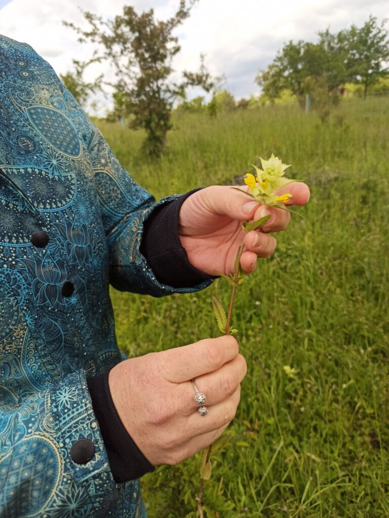 Čmeláci PLUS - Výlet na Pražskou pastvinu - Foto Julie Včeláková - 2025 05 24 (6)