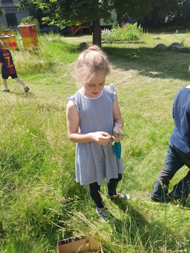 Čmeláci PLUS - Poslední setkání kroužku před prázdninami - Foto Julie Včeláková 2025 06 12 (1)