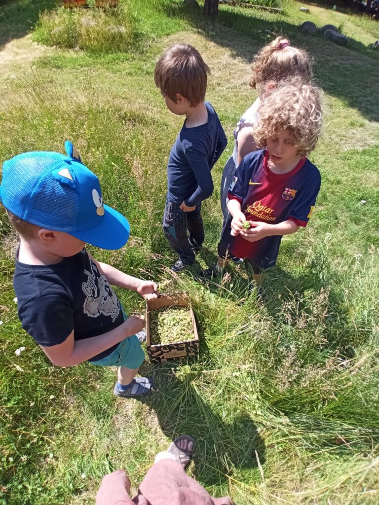 Čmeláci PLUS - Poslední setkání kroužku před prázdninami - Foto Julie Včeláková 2025 06 12 (2)