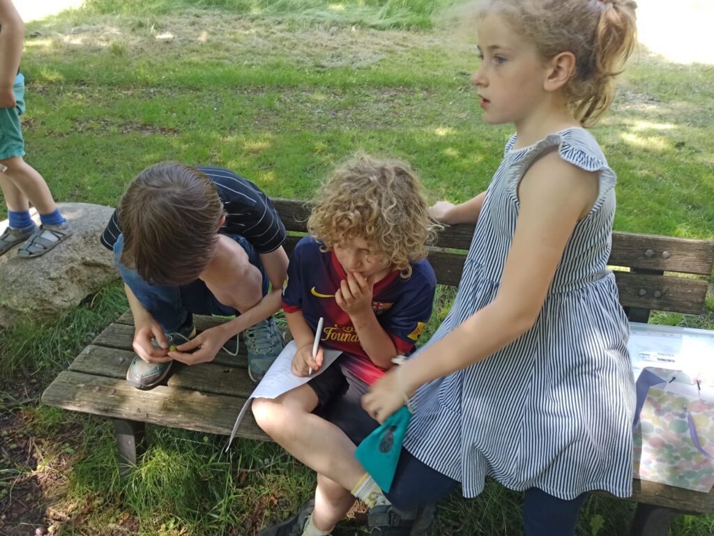 Čmeláci PLUS - Poslední setkání kroužku před prázdninami - Foto Julie Včeláková 2025 06 12 (4)