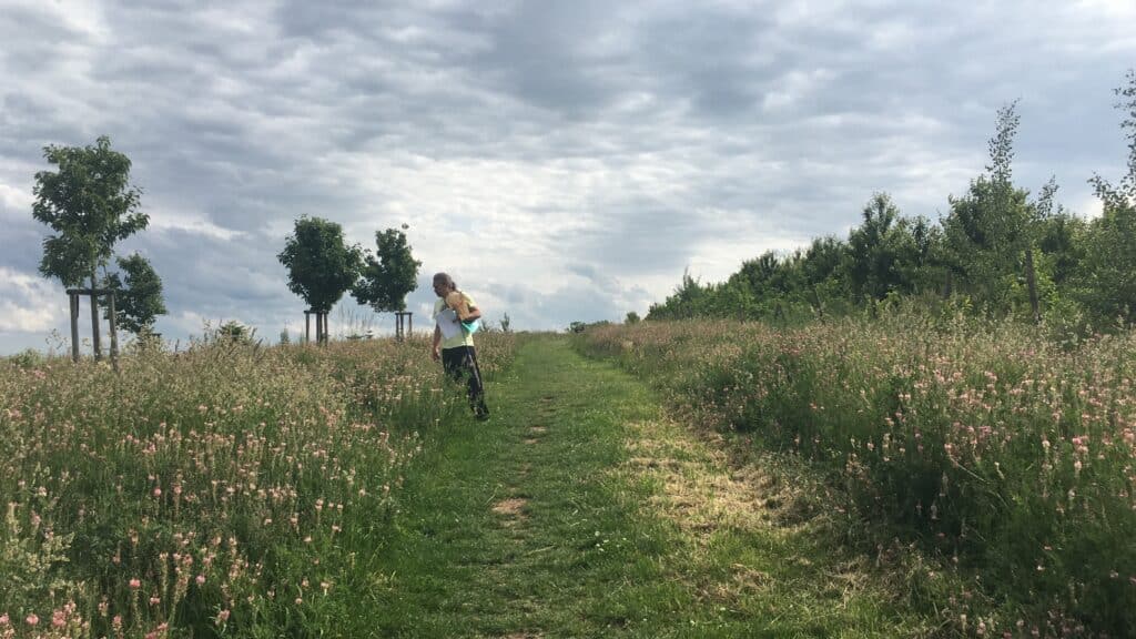 Čmeláci PLUS - Čmeláci v Praze co jsme zjistili a jak dál - Foto Ondřej Kahoun (2)