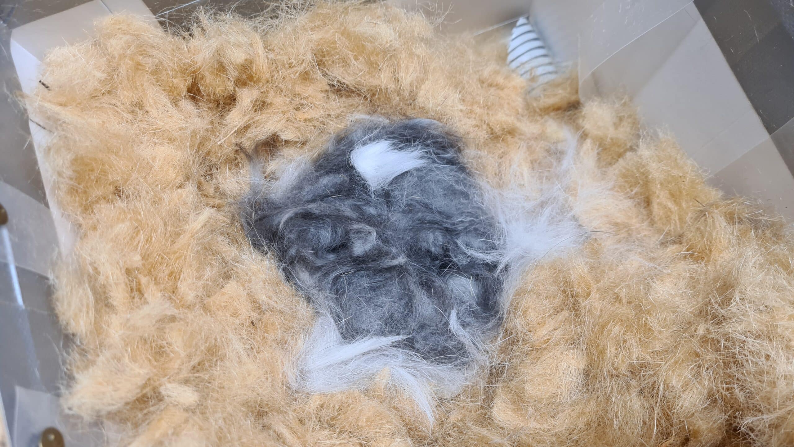 Čmeláci PLUS - Příprava úlku - Výstelka - Jutovvý filc - Jádro z králičí srsti - Foto Ondřej Hercog 25 02 2024