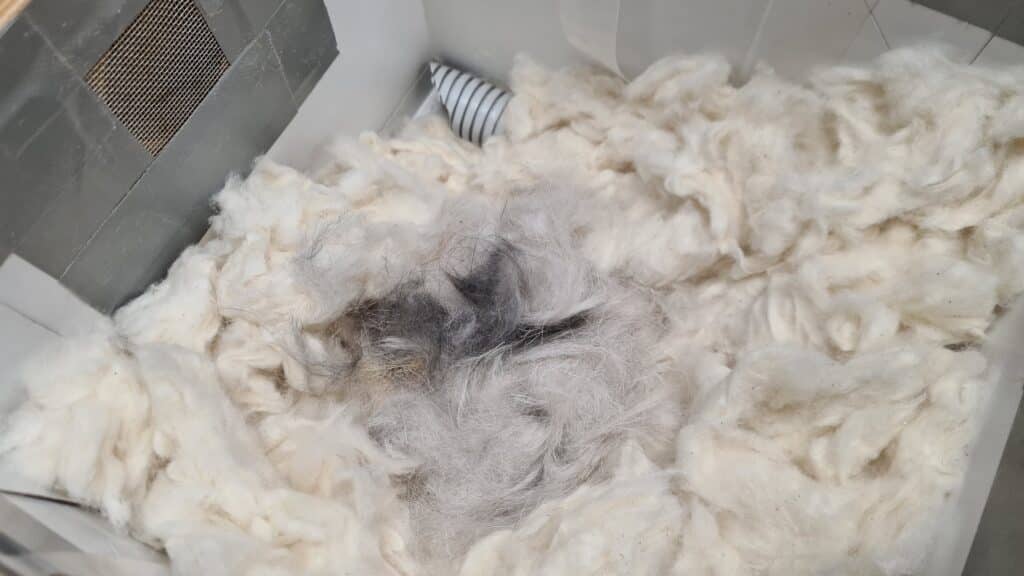 Čmeláci PLUS - Příprava úlku - Výstelka - Ovčí rouno - Jádro z králičí srsti -Foto Ondřej Hercog 25 02 2024