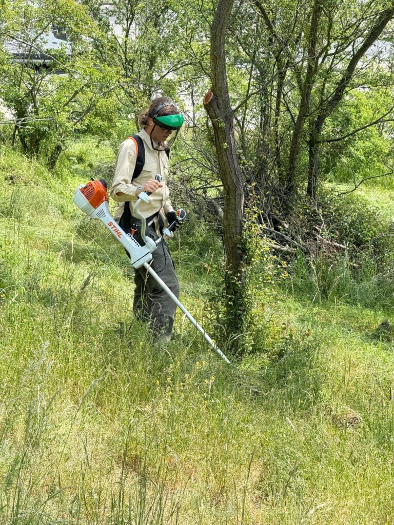 Čmeláci PLUS - Dobrovolnický den ČSOB květen 2025 - Foto Václav Voleman - 14 05 2025 (8)