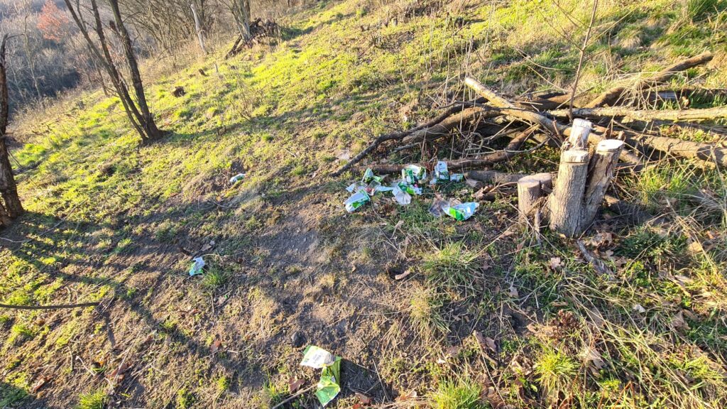 Čmeláci PLUS - Jaro na lesostepi - Foto Ondřej Hercog - 18 03 2025 (1)