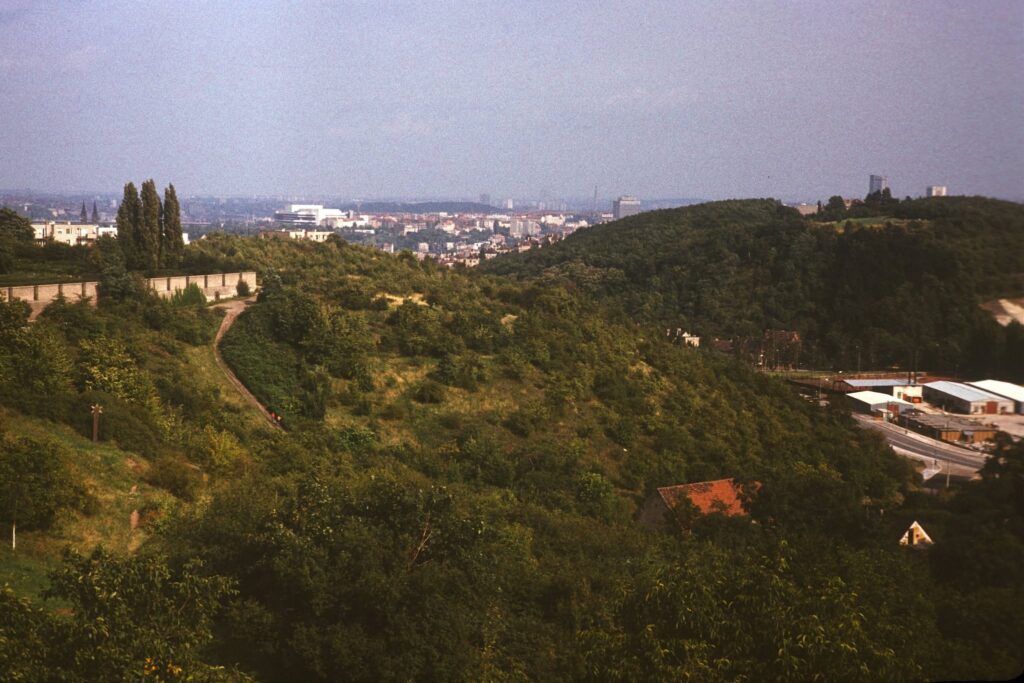 Čmeláci PLUS - Pozemek u Fričky - Foto archiv Radek Petr 2