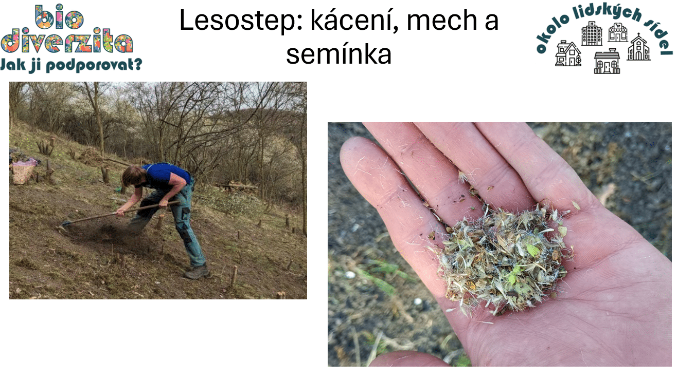 Čmeláci PLUS - Seminář O biodiverzitě ve městech - ČZU - 9 01 2025 (4)