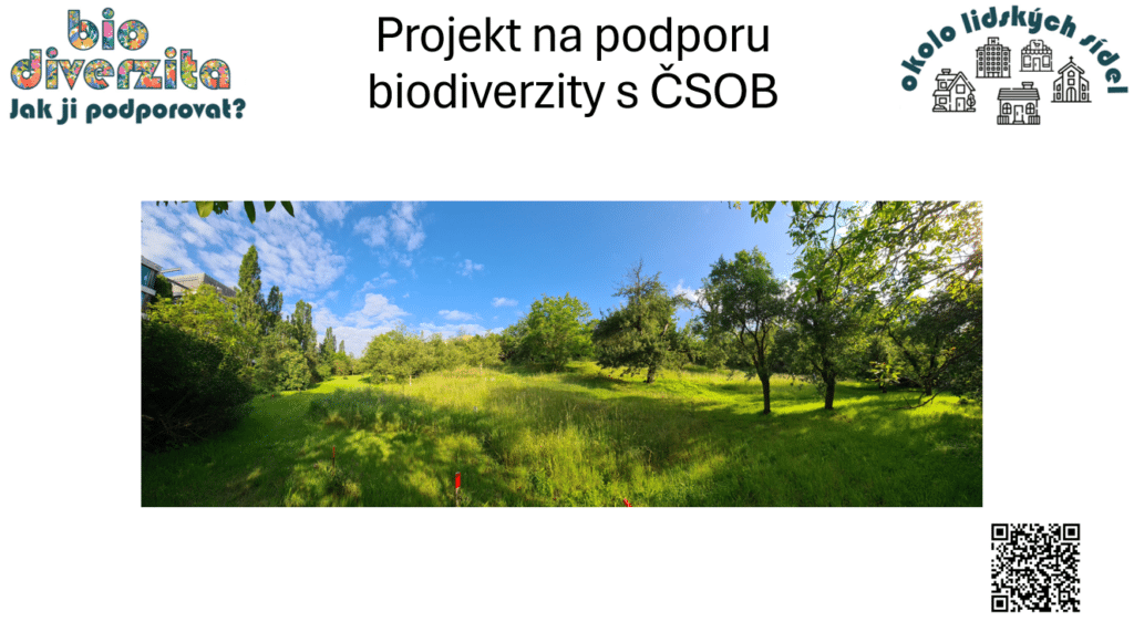 Čmeláci PLUS - Seminář O biodiverzitě ve městech - ČZU - 9 01 2025 (9)
