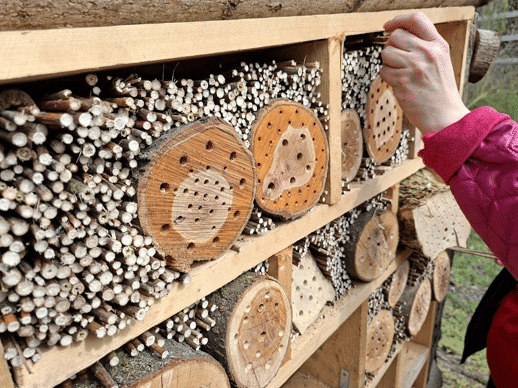 Čmeláci PLUS - Včely si komůrky staví ve vyvrtaných dutinách a stoncích s měkkou “duší”