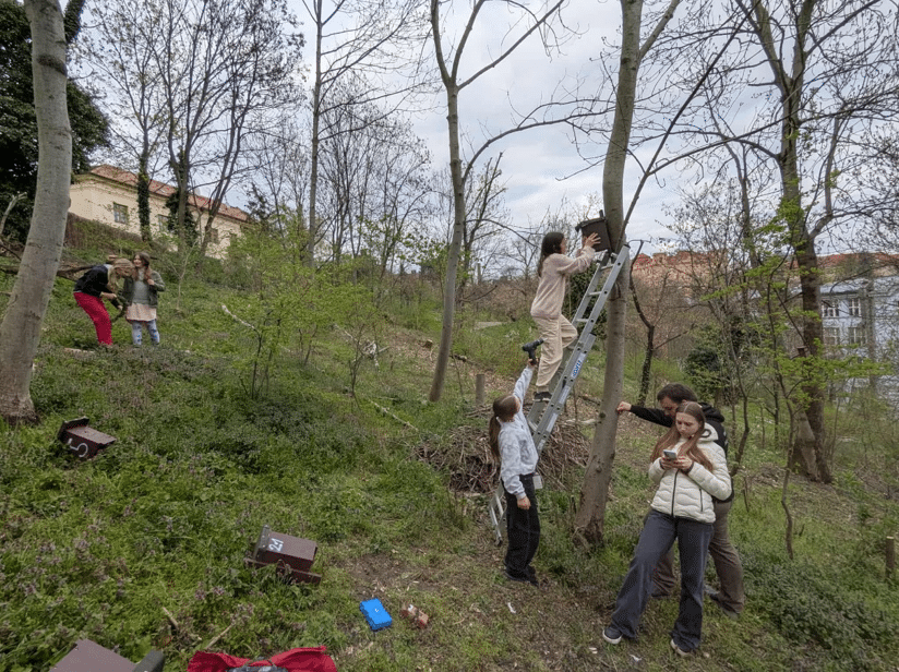 Čmeláci PLUS - Čištění budek se skautským oddílem - Foto Projekt