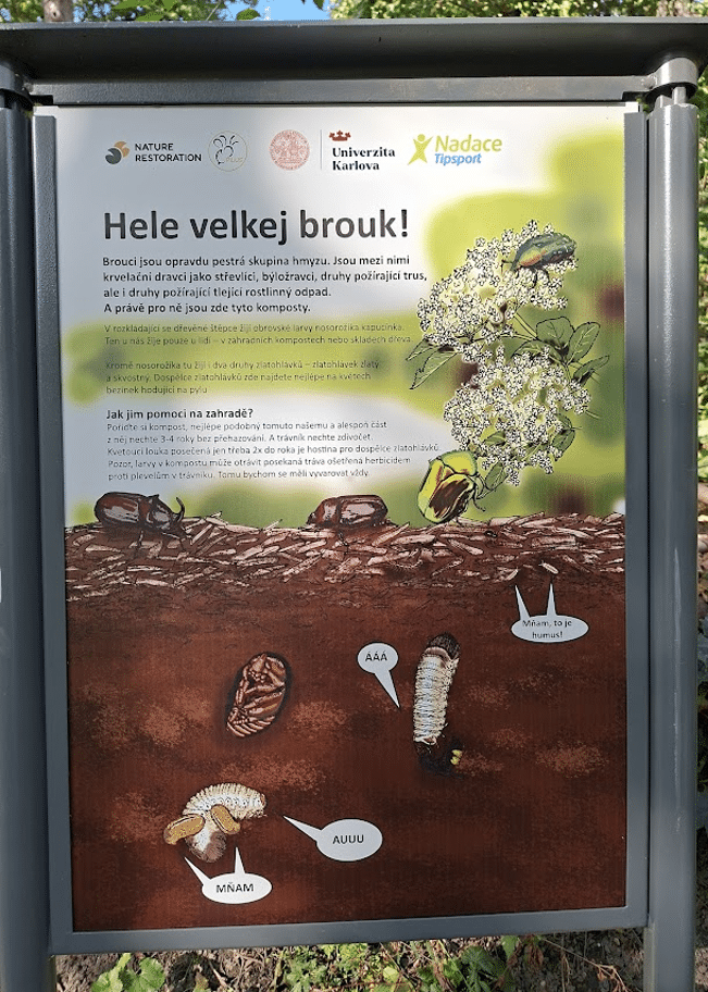 Čmeláci PLUS - Tabule umístěná u broukoviště - Foto Projekt