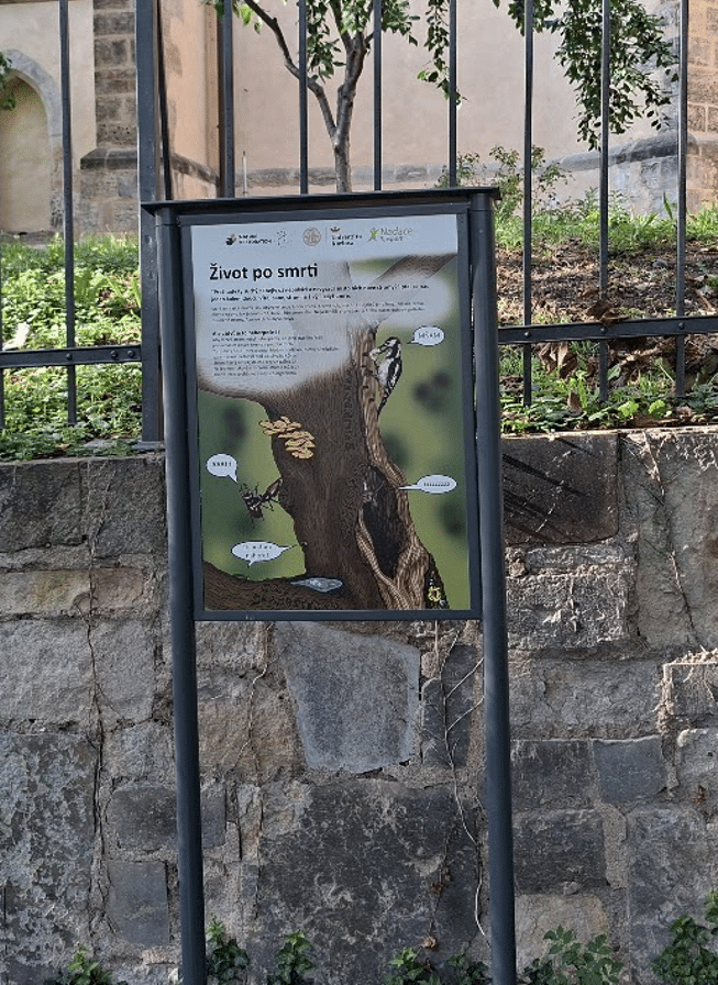 Čmeláci PLUS - Tabule umístěná vedle umírajícího ořechu pod kostelem sv. Apolináře - Foto Projekt