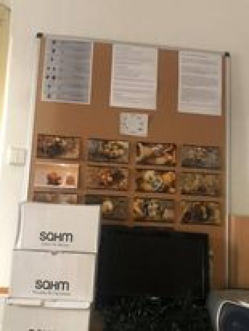 Čmeláci PLUS – Beseda Pavlína Krčová 08-2020 – (7) Čmeláci PLUS - Beseda Pavlína Krčová 08-2020